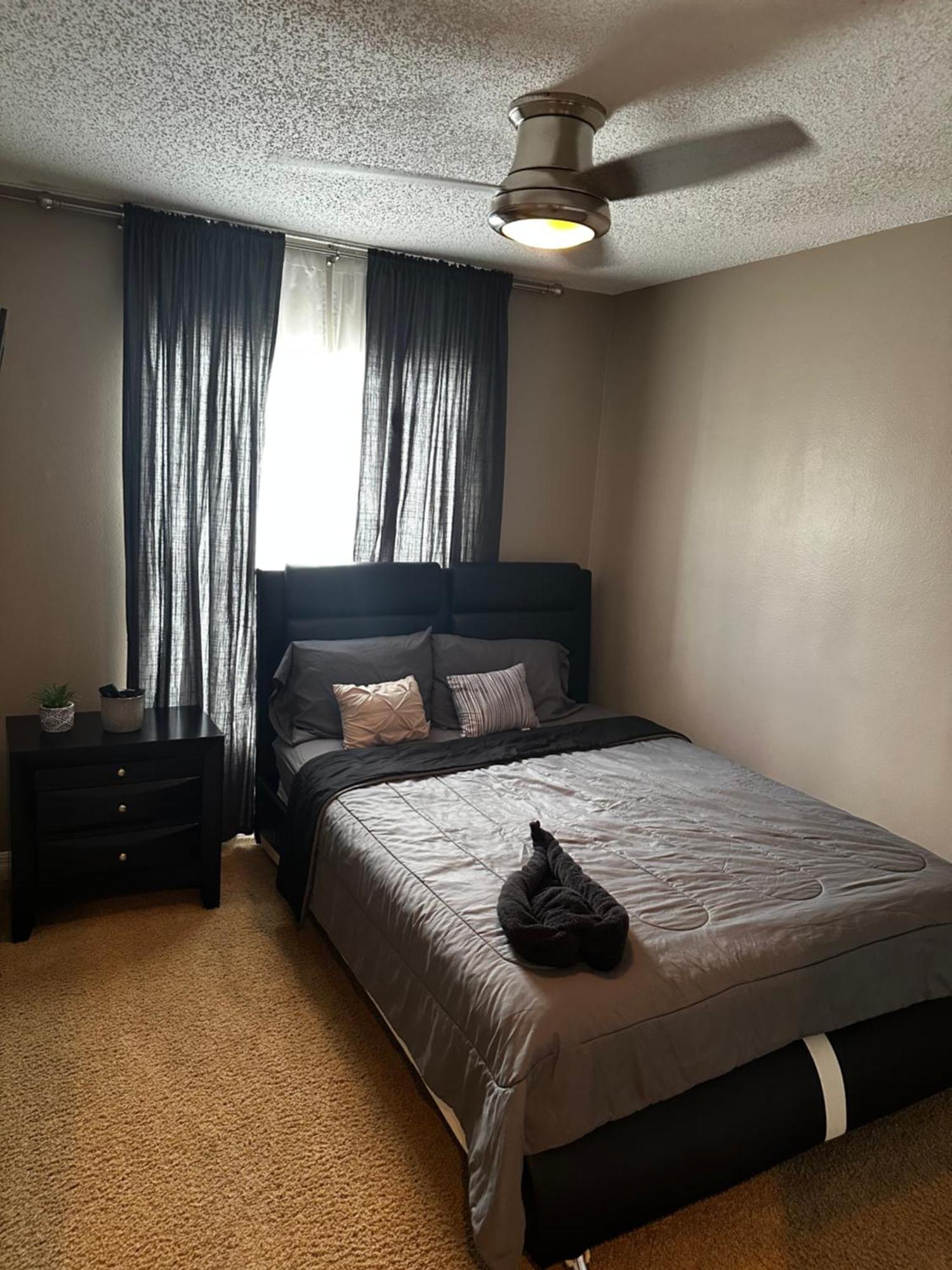 Cozy 3 Bedroom Home Close To Everything In Tampa! المظهر الخارجي الصورة